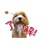Tim's stamps！（個別スタンプ：2）