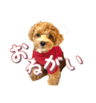 Tim's stamps！（個別スタンプ：3）