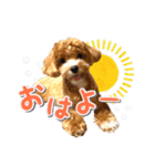 Tim's stamps！（個別スタンプ：7）