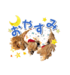 Tim's stamps！（個別スタンプ：8）