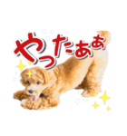 Tim's stamps！（個別スタンプ：9）