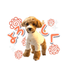 Tim's stamps！（個別スタンプ：12）