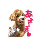 Tim's stamps！（個別スタンプ：17）