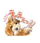 Tim's stamps！（個別スタンプ：19）