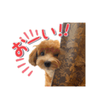 Tim's stamps！（個別スタンプ：20）