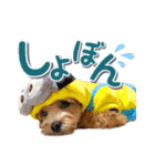 Tim's stamps！（個別スタンプ：22）