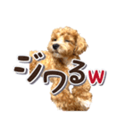 Tim's stamps！（個別スタンプ：23）