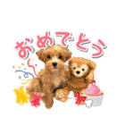 Tim's stamps！（個別スタンプ：24）
