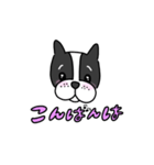 フレンチブルドッグ挨拶するよ（個別スタンプ：2）