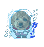 2.ALOHA（個別スタンプ：4）