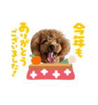 2.ALOHA（個別スタンプ：8）