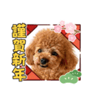 2.ALOHA（個別スタンプ：9）