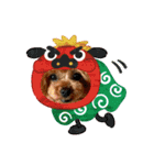 2.ALOHA（個別スタンプ：10）
