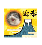 2.ALOHA（個別スタンプ：19）