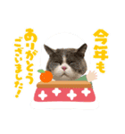 2.ALOHA（個別スタンプ：20）