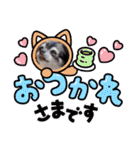 チワワのれおぱこぴにこ③（個別スタンプ：20）
