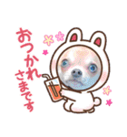 チワワのれおぱこぴにこ③（個別スタンプ：25）