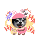 チワワのれおぱこぴにこ③（個別スタンプ：37）
