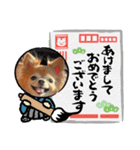 MOMOスタンプ4（個別スタンプ：7）