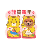 ポメチワ れもんちゃん 4（個別スタンプ：6）