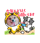 ポメチワ れもんちゃん 4（個別スタンプ：7）