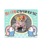 ポメチワ れもんちゃん 4（個別スタンプ：8）