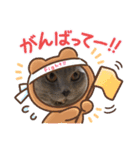 ガイちゃんセンちゃん2（個別スタンプ：5）