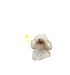 なんとうまるとむぎ ②（個別スタンプ：2）