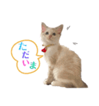 あばれんぼーノギのスタンプ。（個別スタンプ：10）