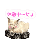 あばれんぼーノギのスタンプ。（個別スタンプ：12）