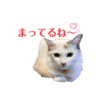 あばれんぼーノギのスタンプ。（個別スタンプ：14）