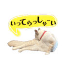 あばれんぼーノギのスタンプ。（個別スタンプ：20）
