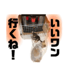 結ちゃんサンタ（個別スタンプ：3）