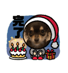 結ちゃんサンタ（個別スタンプ：5）