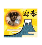 結ちゃんサンタ（個別スタンプ：9）