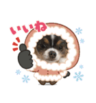 結ちゃんサンタ（個別スタンプ：13）