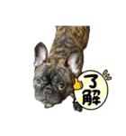 僕の名前はボー Vol.2（個別スタンプ：7）