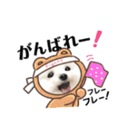 マルチーズのルウ☆天☆びび（個別スタンプ：12）