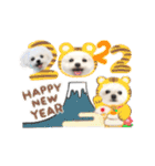 マルチーズのルウ☆天☆びび（個別スタンプ：40）