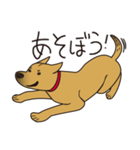 かざらない雑種犬 さぶろうさん（個別スタンプ：16）