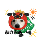 ジャックラッセルテリア〜なおけらん〜（個別スタンプ：3）