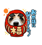 ジャックラッセルテリア〜なおけらん〜（個別スタンプ：4）
