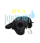 ラブラドールパピー粒明太子2nd（個別スタンプ：14）