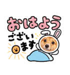 ポメチワ  れもんちゃん 5（個別スタンプ：1）