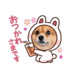 ポメチワ  れもんちゃん 5（個別スタンプ：6）