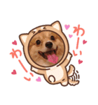 ポメチワ  れもんちゃん 5（個別スタンプ：7）