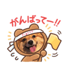 ポメチワ  れもんちゃん 5（個別スタンプ：8）