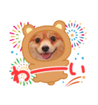 ポメチワ  れもんちゃん 5（個別スタンプ：12）