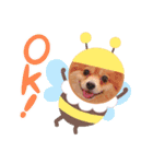 ポメチワ  れもんちゃん 5（個別スタンプ：13）
