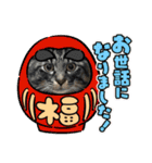 年末年始に使える癒しの2匹④（個別スタンプ：11）